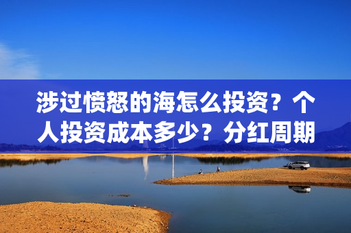 涉过愤怒的海怎么投资？个人投资成本多少？分红周期多久？(涉过愤怒的海没过审)