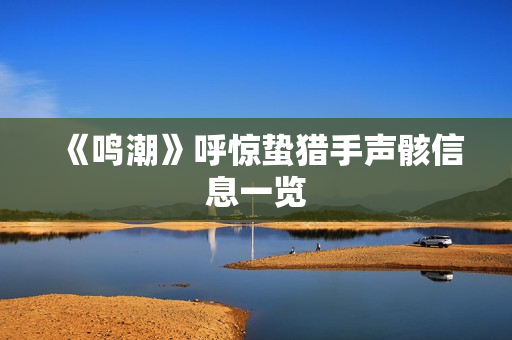 《鸣潮》呼惊蛰猎手声骸信息一览