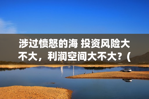 涉过愤怒的海 投资风险大不大，利润空间大不大？(涉过愤怒的海事件原型)