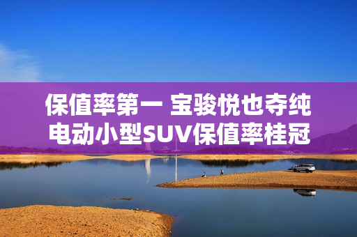 保值率第一 宝骏悦也夺纯电动小型SUV保值率桂冠