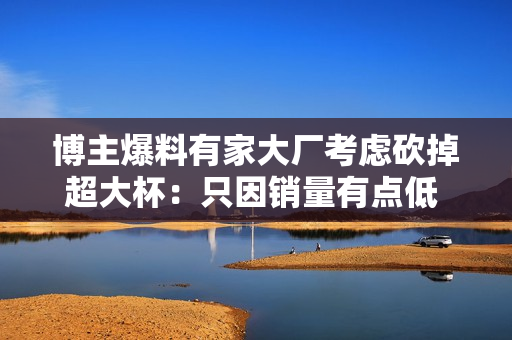 博主爆料有家大厂考虑砍掉超大杯：只因销量有点低 网友热议