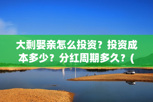 大剩娶亲怎么投资？投资成本多少？分红周期多久？(大剩娶亲有哪个公司出品)