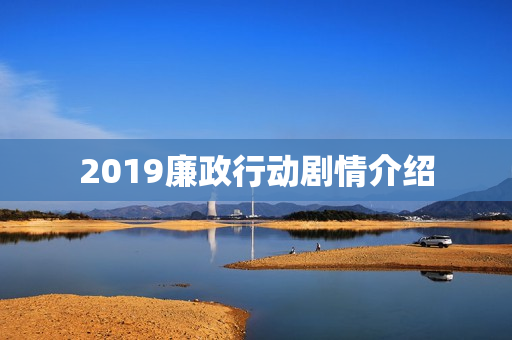 2019廉政行动剧情介绍
