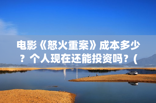 电影《怒火重案》成本多少？个人现在还能投资吗？(谢霆锋最新电影怒火重案)