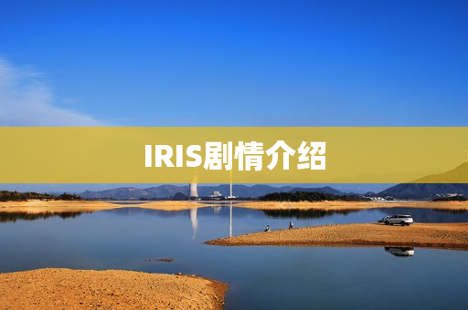 IRIS剧情介绍