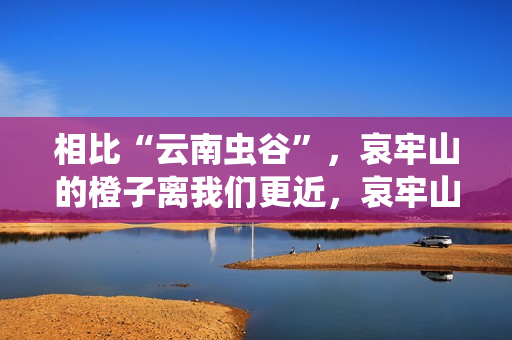 相比“云南虫谷”，哀牢山的橙子离我们更近，哀牢山冰糖橙集中上市天猫双11，一晚卖出6万斤