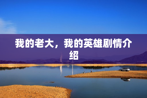 我的老大，我的英雄剧情介绍