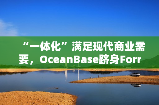 “一体化”满足现代商业需要，OceanBase跻身Forrester wave报告