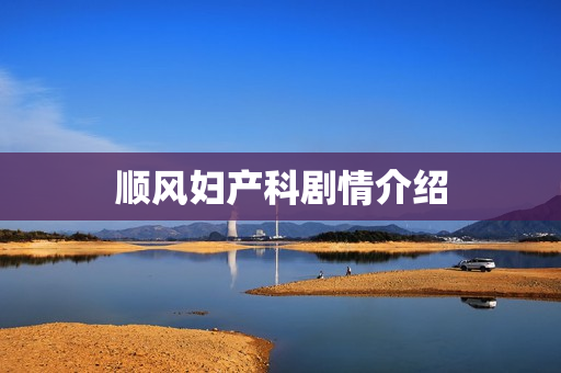 顺风妇产科剧情介绍