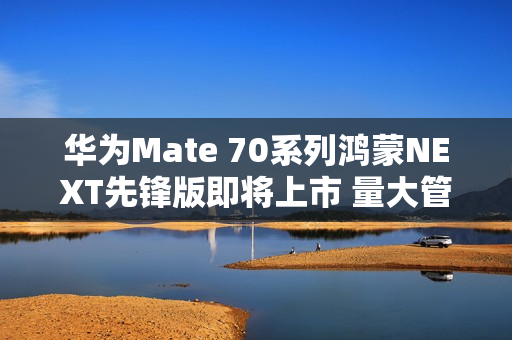 华为Mate 70系列鸿蒙NEXT先锋版即将上市 量大管够？