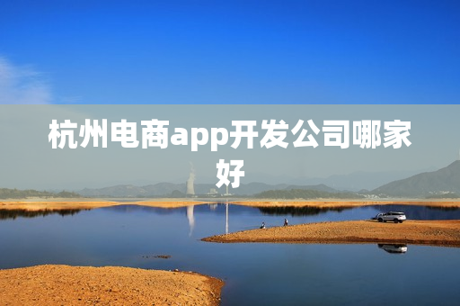 杭州电商app开发公司哪家好