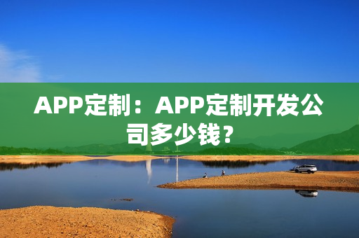 APP定制：APP定制开发公司多少钱？