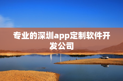 专业的深圳app定制软件开发公司