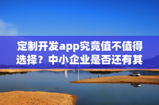 定制开发app究竟值不值得选择？中小企业是否还有其他选择？