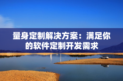 量身定制解决方案：满足你的软件定制开发需求