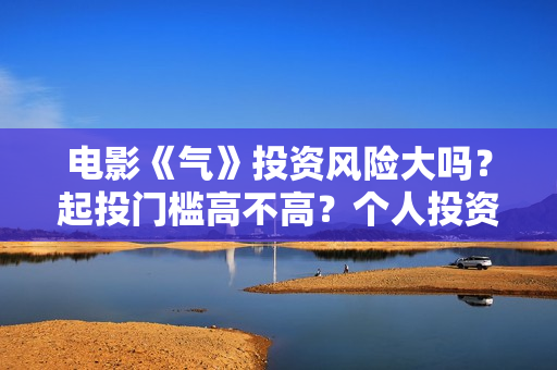 电影《气》投资风险大吗？起投门槛高不高？个人投资赚钱啊？