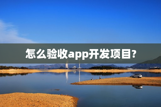 怎么验收app开发项目?