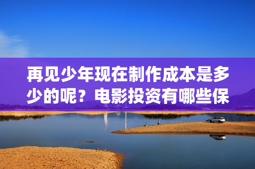 再见少年现在制作成本是多少的呢？电影投资有哪些保障呢？份额真实am？(再见少年是改编的吗)