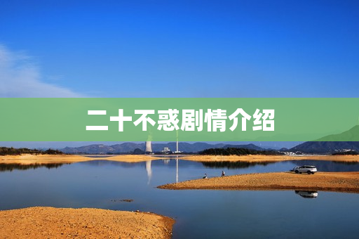 二十不惑剧情介绍