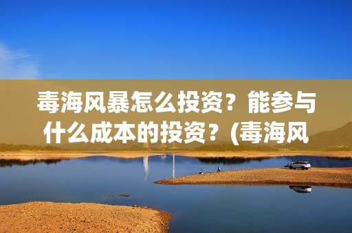 毒海风暴怎么投资？能参与什么成本的投资？(毒海风暴有哪几家拍摄)