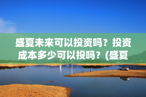 盛夏未来可以投资吗？投资成本多少可以投吗？(盛夏未来哪个平台)
