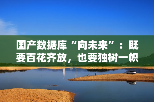 国产数据库“向未来”：既要百花齐放，也要独树一帜