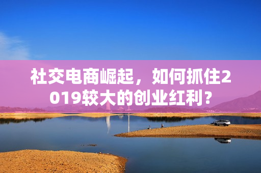 社交电商崛起，如何抓住2019较大的创业红利？