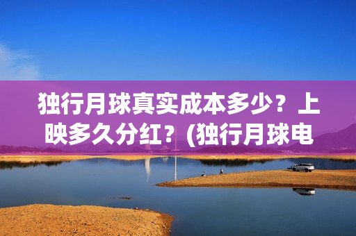 独行月球真实成本多少？上映多久分红？(独行月球电影演员表)