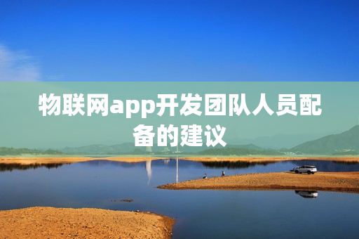 物联网app开发团队人员配备的建议