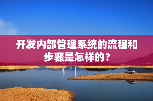 开发内部管理系统的流程和步骤是怎样的？