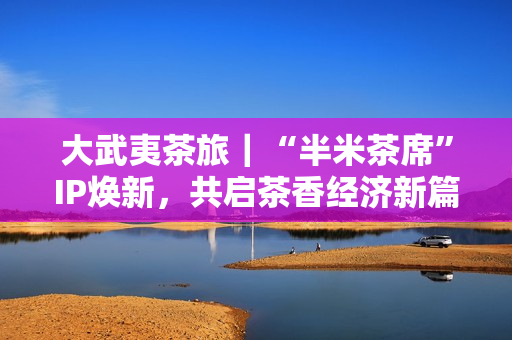 大武夷茶旅｜“半米茶席”IP焕新，共启茶香经济新篇章