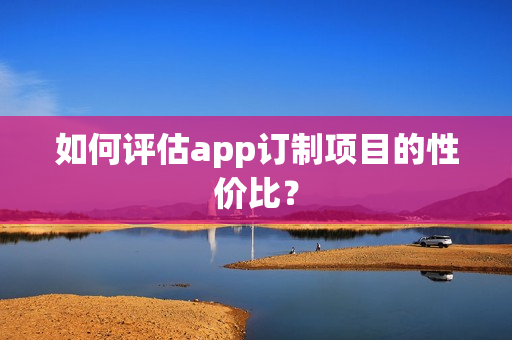 如何评估app订制项目的性价比？