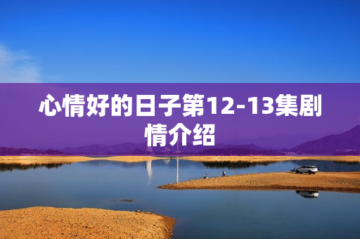 心情好的日子第12-13集剧情介绍