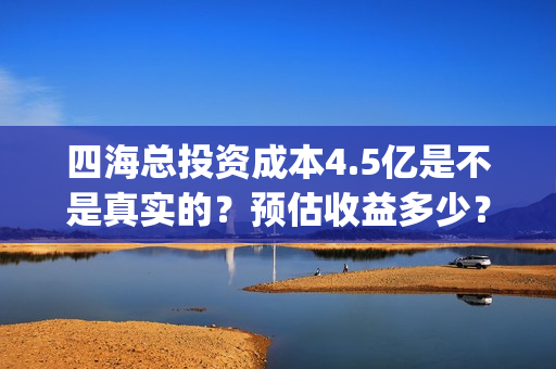 四海总投资成本4.5亿是不是真实的？预估收益多少？(四海 成本)