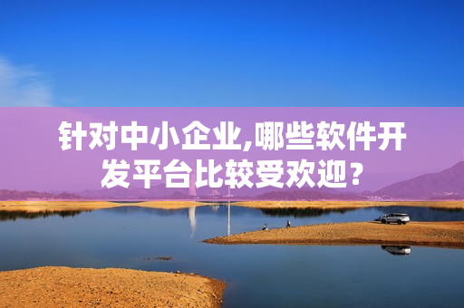 针对中小企业,哪些软件开发平台比较受欢迎？