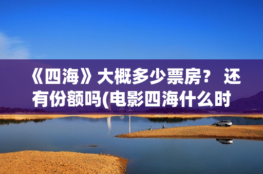 《四海》大概多少票房？ 还有份额吗(电影四海什么时候拍的)