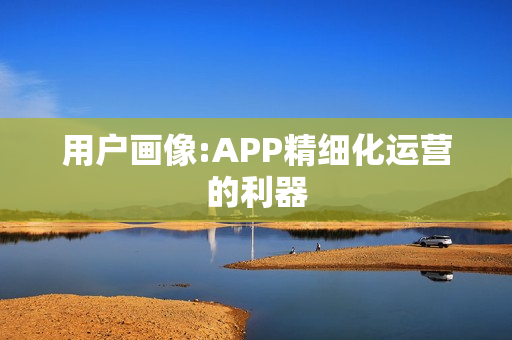 用户画像:APP精细化运营的利器
