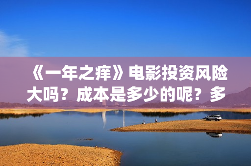 《一年之痒》电影投资风险大吗？成本是多少的呢？多少起投呢？(一年之痒免费播放)