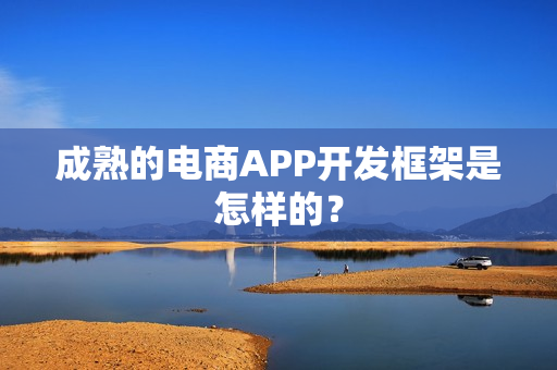 成熟的电商APP开发框架是怎样的？