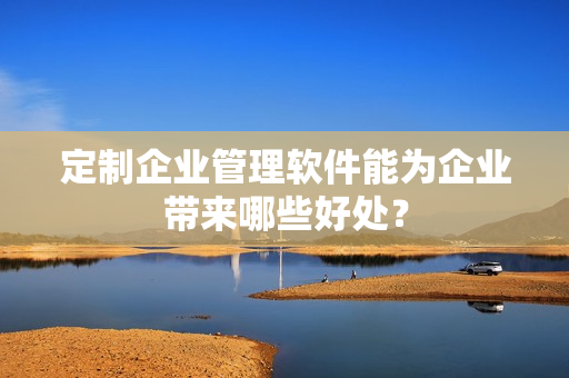定制企业管理软件能为企业带来哪些好处？