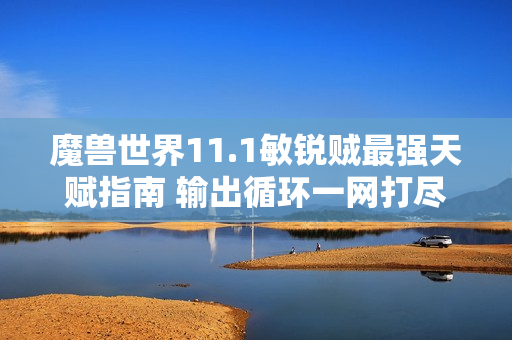 魔兽世界11.1敏锐贼最强天赋指南 输出循环一网打尽