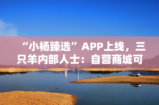 “小杨臻选”APP上线，三只羊内部人士：自营商城可更好地服务消费者，复播正准备中