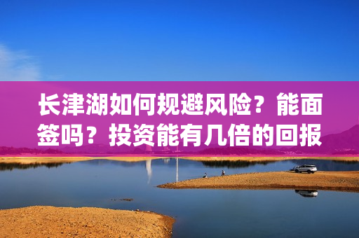长津湖如何规避风险？能面签吗？投资能有几倍的回报率？(长津湖影响)