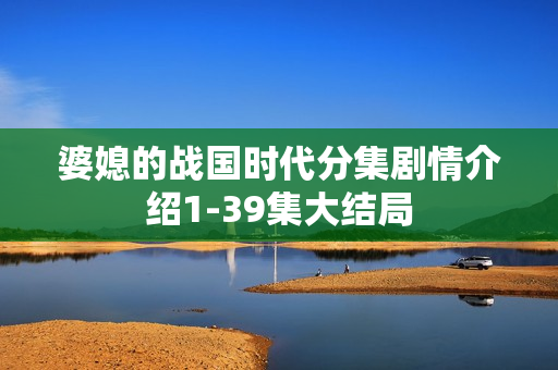 婆媳的战国时代分集剧情介绍1-39集大结局