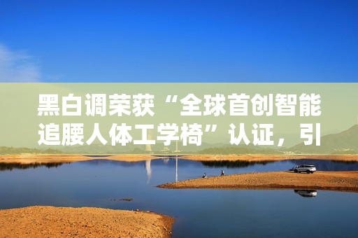 黑白调荣获“全球首创智能追腰人体工学椅”认证，引领智能健康办公新时代