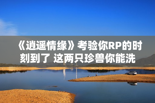 《逍遥情缘》考验你RP的时刻到了 这两只珍兽你能洗出来吗？