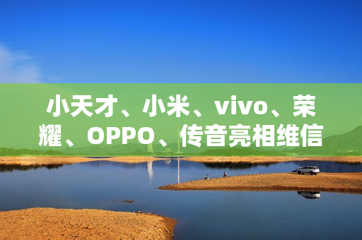 小天才、小米、vivo、荣耀、OPPO、传音亮相维信诺 F1 屏幕发光材料体系发布仪式