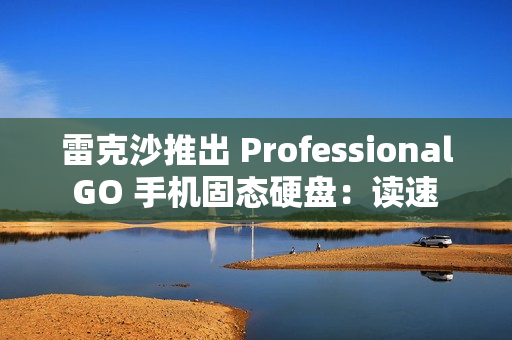 雷克沙推出 Professional GO 手机固态硬盘：读速 1050MB/s，999 元起