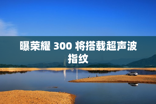 曝荣耀 300 将搭载超声波指纹