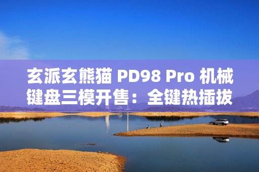 玄派玄熊猫 PD98 Pro 机械键盘三模开售：全键热插拔、Gasket 结构，299 元起